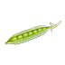 199269