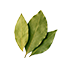 Bay Leaf
